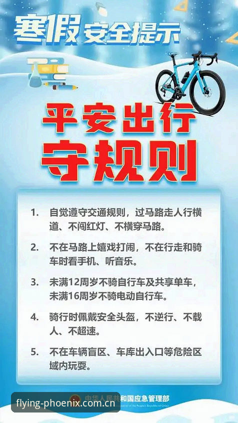 凤凰体育手机版安全详解：从下载到使用全攻略